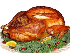 Thanksgiving Turkey
