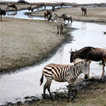 Save protected areas to save earth: Book