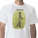 ‘Simples’ voted new word of the year  