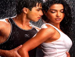 Shahid's promotional affair with Priyanka