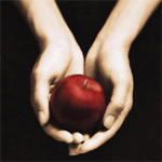 ‘Twilight’ ranks fifth in ‘challenged books’ list 
