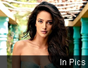 Kingfisher Calendar 2012