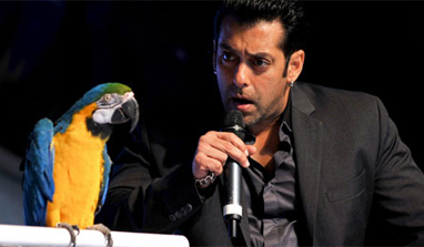 Two evictions on `Bigg Boss 6` this week