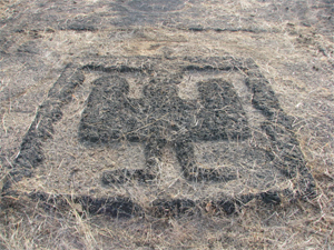 Ancient rock sculptures discovered in Maharashtra