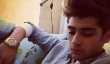 Nervous Zayn Malik skipped meeting with Johnny Depp