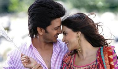 Review: Deshmukhs’ enthrall you in ‘Tere Naal Love Ho Gaya’