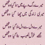 Urdu poetry blurs borders at Shankar-Shad 'mushaira'