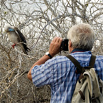 Guide for bird-watching in UAE launched