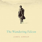 Five books published in India on Commonwealth shortlist