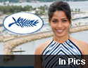 Cannes Film Festival