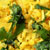 Recipe: Aloo Poha