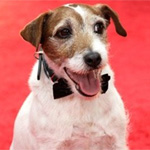 `The Artist`s dog`s pawmarks to be immortalized