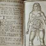 'Aristotle' sex manual banned for 200 years on sale