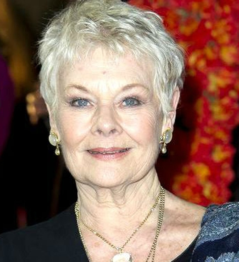 Judi Dench not ready to retire