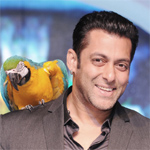 Cricket is first love of actors, I may play next year: Salman Khan