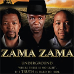 Chennai to screen South African films