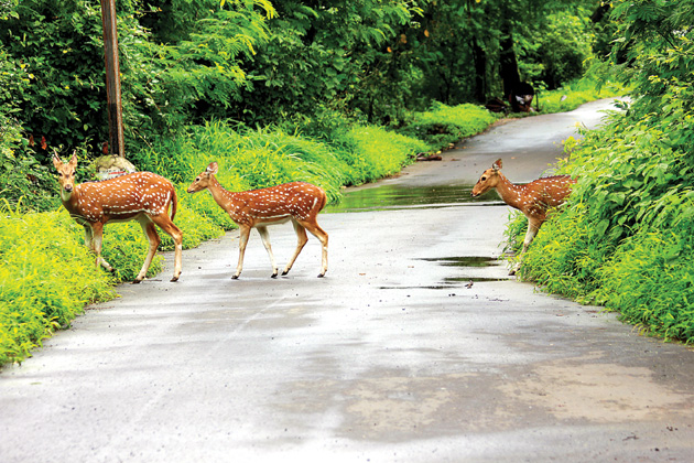20 Picnic Hotspots in and around Mumbai
