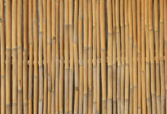 Indian architect's bamboo installation selected for New York exhibit